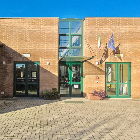 Entry Title